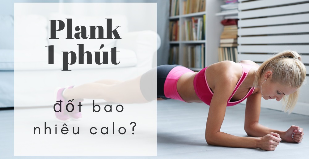 1 phút plank đốt bao nhiêu calo? Các bài tập plank hiệu quả