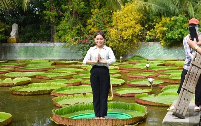 dong thap co gi choi