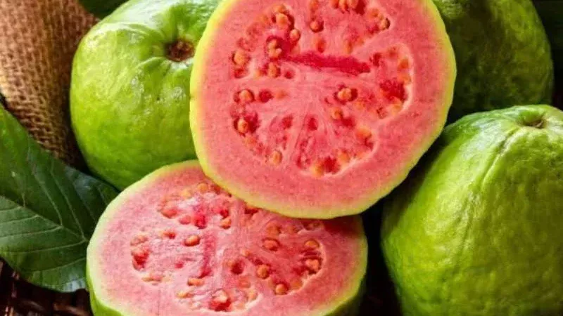 1 quả ổi bao nhiêu calo? Ăn ổi có béo và TĂNG CÂN không?
